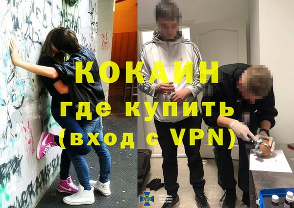 ПСИЛОЦИБИНОВЫЕ ГРИБЫ Вязники